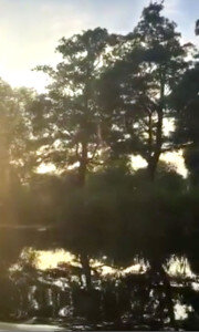 The Great Ouse embankment,